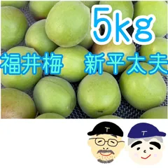 うに　福井産の完熟「新平太夫」（しんへいだゆう）　訳あり品9.5ｋｇ 完熟新平太夫梅 （福井特産】 福井梅（紅映）青梅 5kg（L～2L