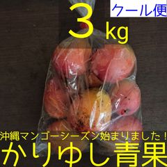 沖縄県産 ミニマンゴー 約３kg【クール便】①