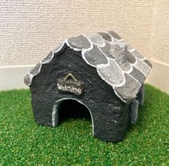 爬虫類　シェルター　ブラック