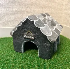 爬虫類　シェルター　ブラック