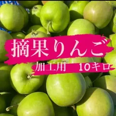 青森県産りんご　摘果りんご　加工用約10キロのサムネイル