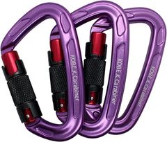 Item thumbnail for item 6d1f0b1f-21af-4c4e-97bd-099f288c2af3