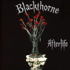 2025年最新】blackthorneの人気アイテム - メルカリ