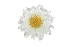【白2個】ドライフラワー封入  クリア カボションプラスチック アクリル 花  メタルパーツUVレジン クラフトピアス イヤリング  材料 資材
