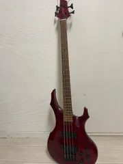 Grass Rootsエルキべースギター