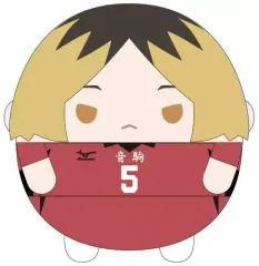 2025年最新】孤爪研磨 ふわコロりんの人気アイテム - メルカリ