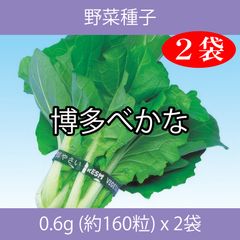 野菜種子 ECH 博多べかな 0.6g (約160粒) x 2袋