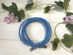 【2本以上のご購入がお得！まとめ買い大歓迎！】CAT6 LANケーブル　青　3m　1本　パッチコード