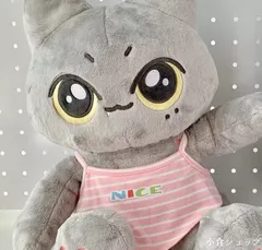 ENHPEN ジェイ　ソンフン　40cm ぬいぐるみ　新品　マスター 2025年最新】ソンフン ぬいぐるみ 40の人気アイテム - メルカリ
