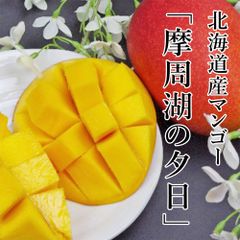 摘果マンゴー グリーンマンゴー23kg - メルカリ