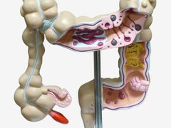 Item thumbnail for item f68d10d0-552b-45ae-9d35-5fa37019c861