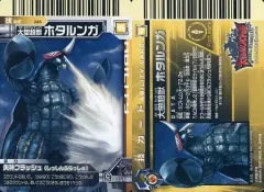 2026年最新】ホタルンガの人気アイテム - メルカリ