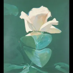 【Kikirarara様専用】ロバート・ハインデル 「ピンクローズ」 リトグラフ 直筆サイン 150/150 唐物 骨董 古美術 楾 B69.1-OQ2