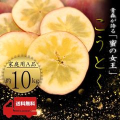 青森県産 ＂ こうとく ( 高徳 ) ＂ りんご【ご家庭用A品10kg】【送料無料】【産地直送】リンゴ 林檎