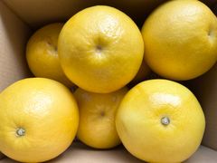 大好評🥳♬ほろ苦さが人気のオトナ味の柑橘♬ ★柑橘類★『土佐文旦』約5㎏