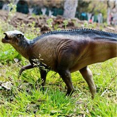 PNSO シャントゥンゴサウルス 山東龍 恐竜 フィギュア プラモデル おもちゃ 模型