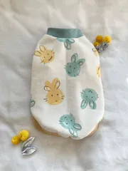 犬服　犬　Mサイズ　Tシャツ　袖付き　うさぎ　ミニ裏毛