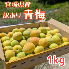 2024年最新】青梅1キロ 無農薬の人気アイテム - メルカリ