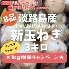 間もなく終了！淡路島産　B品　新玉ねぎ3ｋｇ