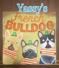 ♻️ショップ限定クーポン有♻️良品♻️8極15畳タイプ♻️サリール