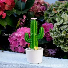 ガーデンオブジェ サボテン 樹脂 グリーン ガーデンオーナメント かわいい 置物 ガーデンオーナメント ガーデニング 雑貨 ガーデン雑貨 ガーデンインテリア ガーデン インテリア 庭の装飾 お洒落 おしゃれ 8-14