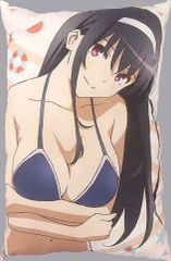 [중고] 쿠션·안아 베개·본체(캐릭터) 카스미가오카 시바 쿠션
