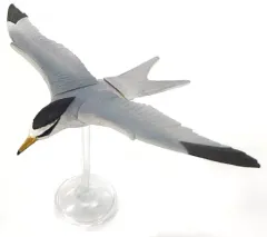 チョコエッグ 鳥編 シークレット含む 2025年最新】チョコエッグ 鳥編の人気アイテム - メルカリ