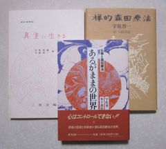 あるがままの世界」「禅的森田療法」2冊セット 宇佐晋一 - メルカリ