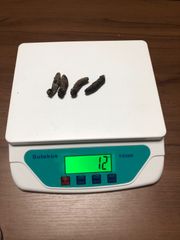 工場直売関西産A級品 乾燥なまこSS 4本セット