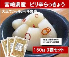 【宮崎のお漬物】ピリ辛らっきょう150ｇ　3袋セット　甘酢が美味しいピリ辛