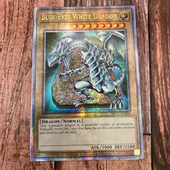 2025年最新】青眼の白龍 25th 英語の人気アイテム - メルカリ