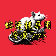 【蛇造様専用】各種冷凍ラットおまとめ