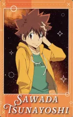 【中古】キャラカード 17.沢田綱吉 「家庭教師ヒットマンREBORN! スナップマイド」