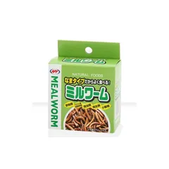 ミルワーム　24箱 2025年最新】ミルワーム 缶詰の人気アイテム - メルカリ