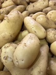 激安 A級品 メークイン 新じゃがいも 5kg 長崎県産 産地直送