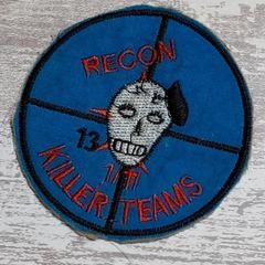 DC53 スカル ドクロ 骸骨 ベトナム 戦争 ワッペン RECON KILLER TEAMS ベレー パッチ ミリタリー  装備用 US ARMY 古着 青