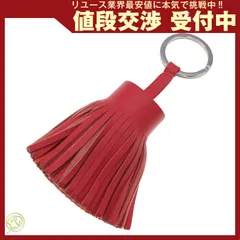 ブーゲンビリア　オレンジ斑入り　希少　No10　らくらくメルカリ便発送‼️ ブーゲンビリア オレンジ斑入り 希少 No10 らくらくメルカリ便
