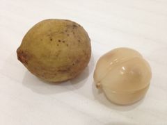 ⭐️⭐️ドゥク苗1鉢⭐️⭐️ ロンコン　ロンコン苗　ドゥク苗木　Duku苗　激レア珍品熱帯果樹苗