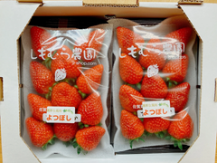 絶品いちご佐賀県よつぼし220g×2パック