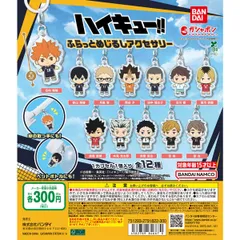 ハイキュー!! ふらっとめじるしアクセサリー　全12種フルコンプセット【19】ガチャ