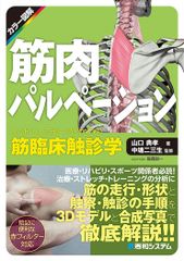 リハビリテーションプロトコール : 整形外科疾患へのアプローチ - メルカリ