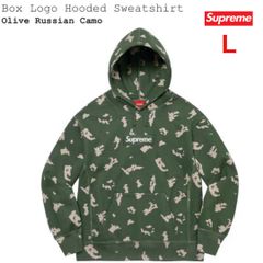 Supreme 21AW Box Logo Hooded Sweatshirt