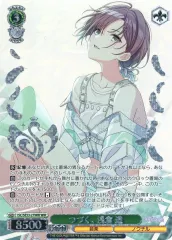 かっとばし党の逆襲　浅倉透　SP　PSA10　ヴァイス かっとばし党の逆襲 浅倉透 SP PSA10 ヴァイス Amazon.co.jp: ws