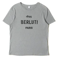 スーパーセール】 新品 BERLUTI 半袖カットソー Mサイズ NCL Tシャツ