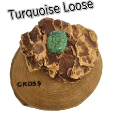 2025年最新】スパイダーウェブターコイズの人気アイテム - メルカリ