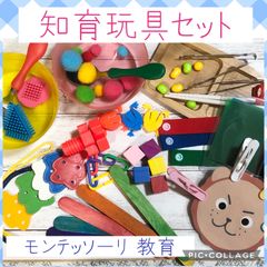 知育玩具セット　家庭学習　おはしスプーン練習　ピンセットトング練習　ひも通し　スナップ練習　ねじ回し　洗濯バサミ遊び　かえるジャンプ　積み木　色遊び