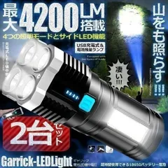 2個セット 懐中電灯 led 強力 最強 充電式 4200ルーメン ハンディライト 作業灯 強力照射 USB充電式 充電式 爆光 マルチ 4つの点灯 照明 ランプ アウトドア 緊急 災害 ライト 停電 地震対策 防災 用品 台風 フラッシュライト