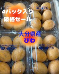 予約販売開始！6月中旬発送予定！　希少　大分県産　びわ　1箱4パック入り　破格セール　果物　フルーツ　旬の果物