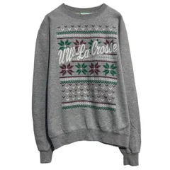 champion プリントスウェット トレーナー チャンピオン S グレー プルオーバー 裏起毛 古着卸 アメリカ仕入 a612-7502