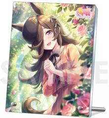 [중고] 아크릴 스탠드 아크릴 패널 2. 라이스 샤워 아크릴 플레이트 Vol.6 [말 딸 프리티 더비]